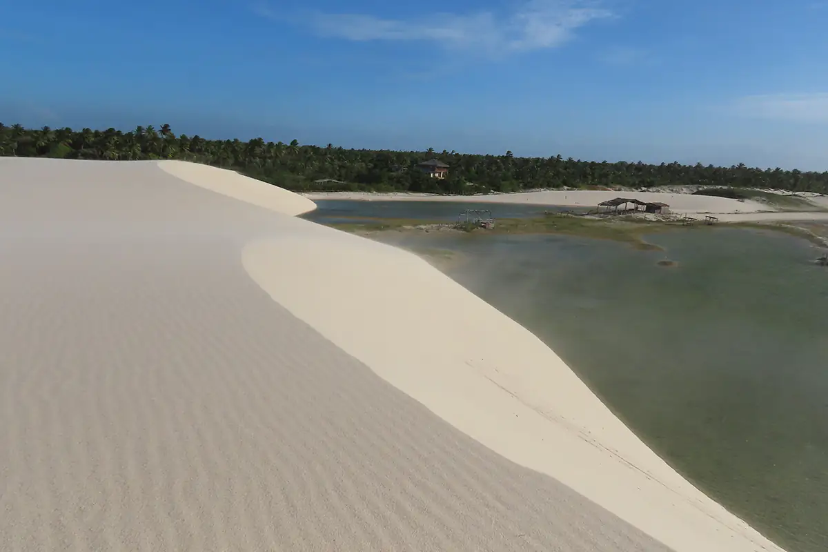 Duna de areia clara ao lado de uma lagoa, com coqueiral ao fundo e céu azul