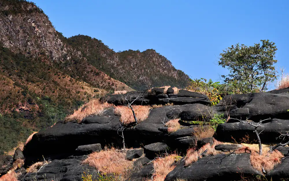 Cânion com mata de cerrado no Parque Nacional da Chapada dos Veadeiros, em Goiás, sob céu azul