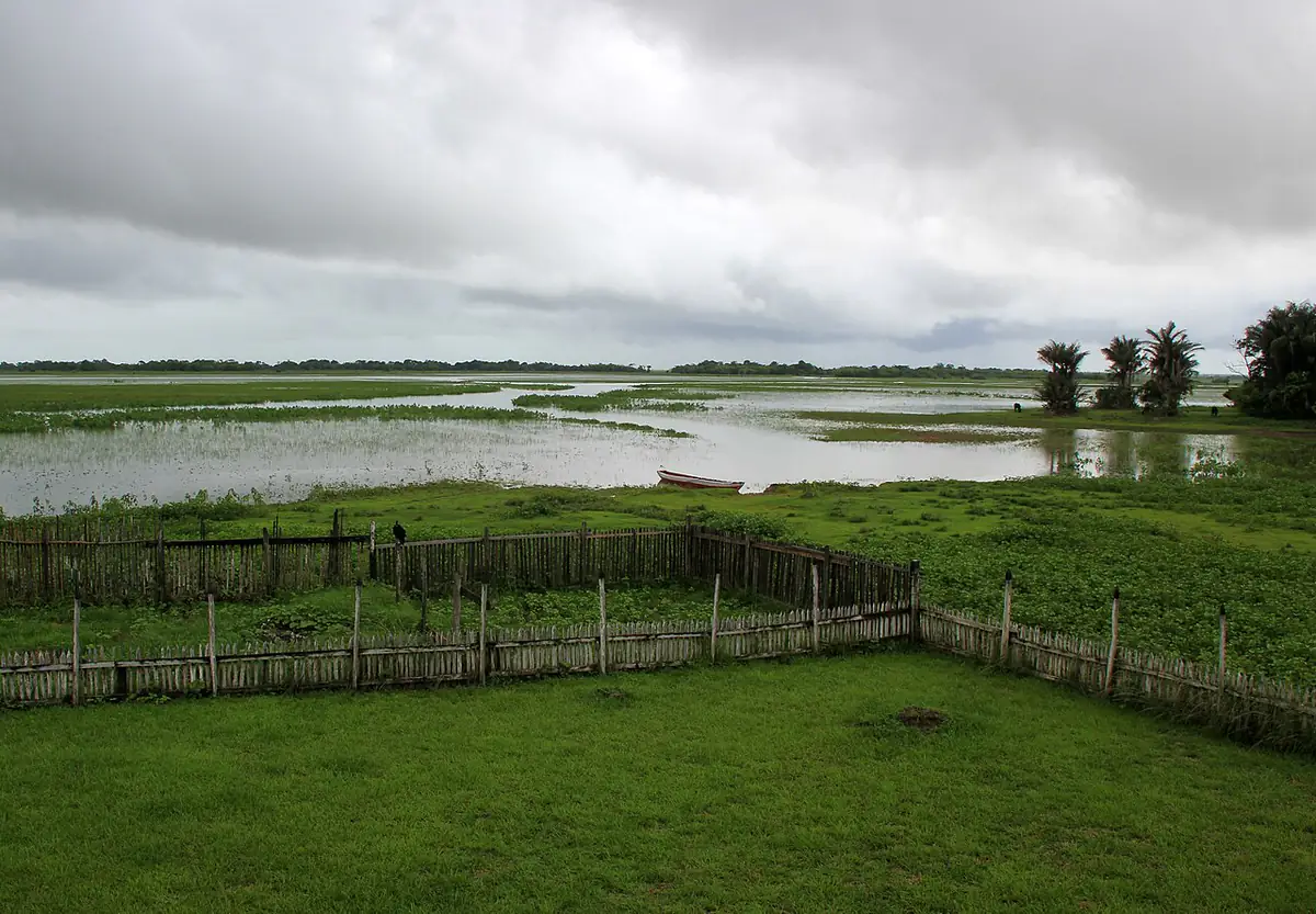 Campos alagados na Ilha de Marajó sob céu nublado, com uma canoa, cerca de madeira e palmeiras ao fundo