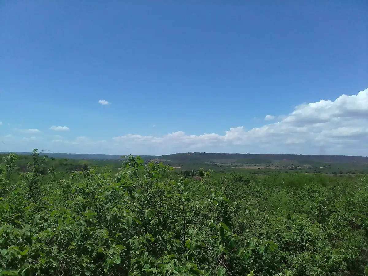 Caatinga verde sob céu azul, com a serra da Chapada do Araripe ao fundo