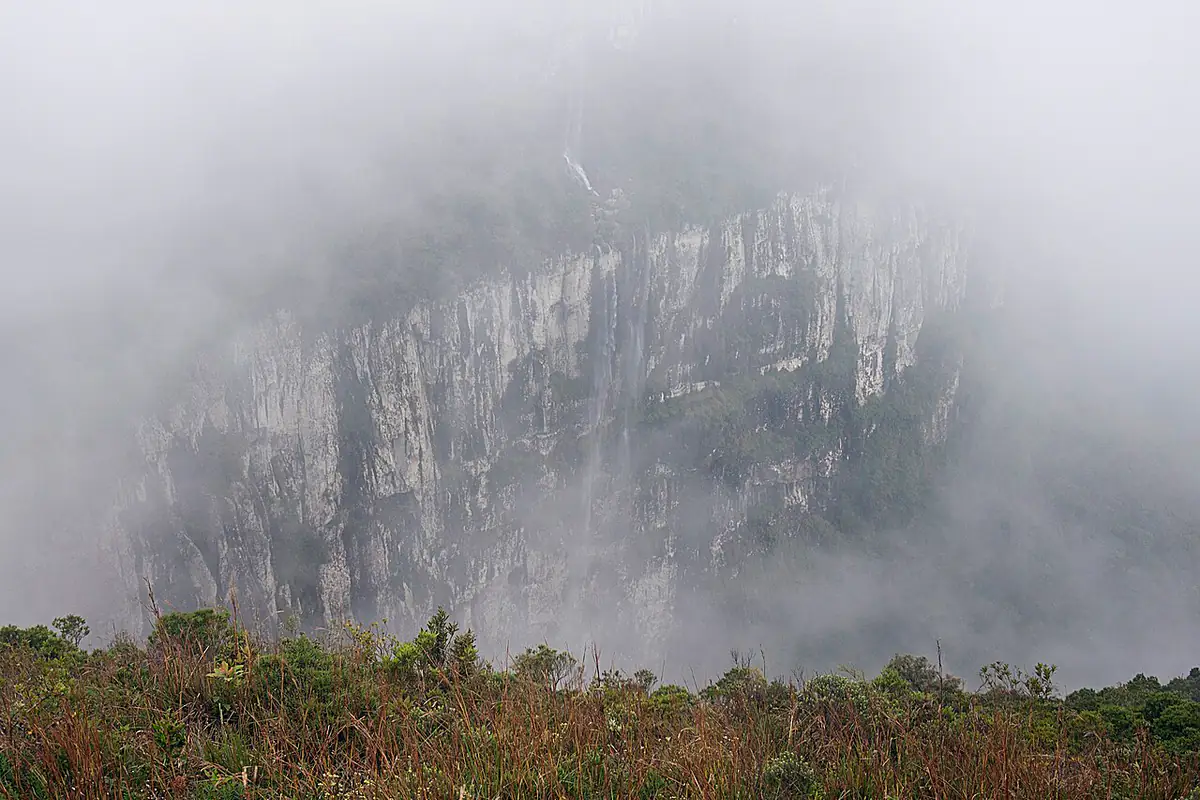 Paredão de rocha do Cânion Fortaleza coberto por neblina, com vegetação de campo em primeiro plano
