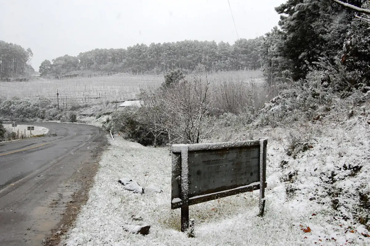 Neve fina cobrindo a beira de uma estrada curva, um letreiro de madeira, arbustos e pinheiros, sob céu branco