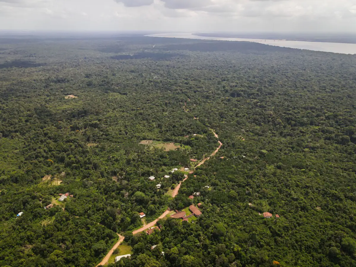 Vista aérea de mata densa com poucas casas e um caminho de terra, e o Rio Guamá ao fundo, sob céu nublado