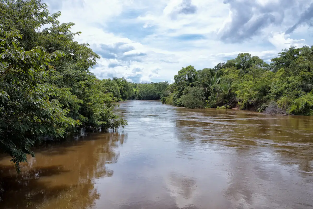 Rio de águas barrentas entre matas, sob céu de nuvens carregadas, em Balsas
