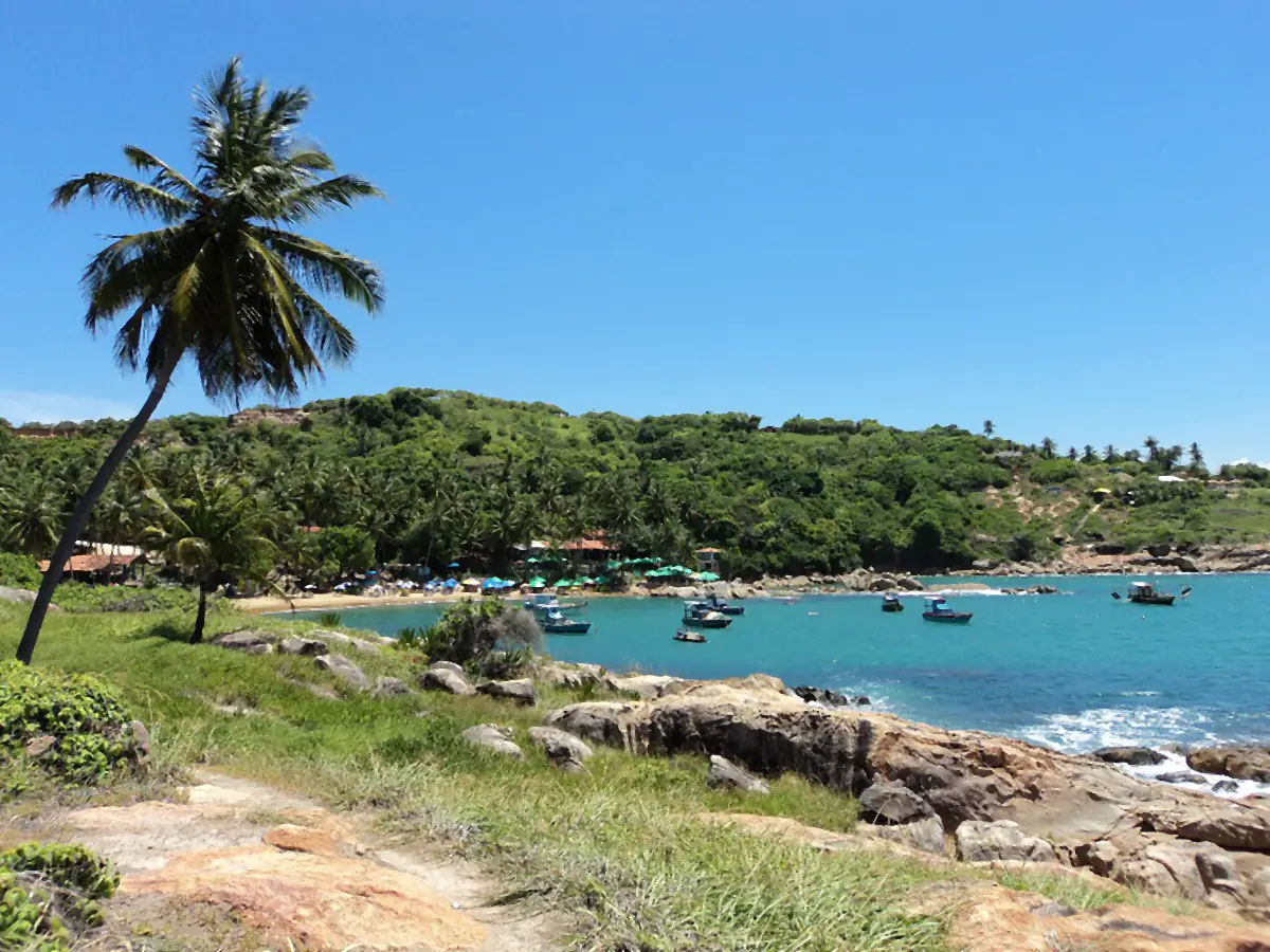 Enseada da Praia de Calhetas, no Cabo de Santo Agostinho, com coqueiros, mar azul e céu limpo