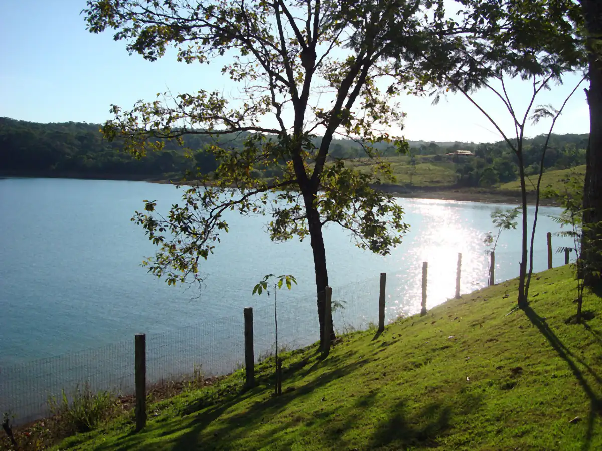 Lago de Caldas Novas visto de um gramado, com árvores e mata na outra margem sob céu azul
