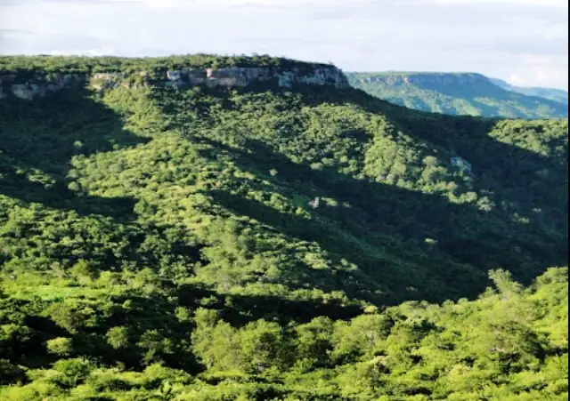 Serra dos Tucuns, em Crateús, com encosta coberta de mata verde e um paredão de rocha no topo