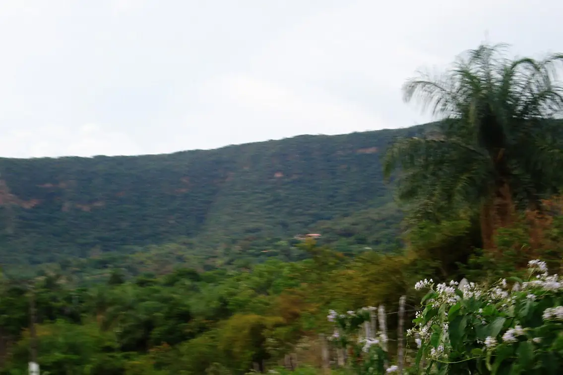 Encosta verde da Chapada do Araripe vista do sopé, no Crato, sob céu nublado, com palmeiras e flores em primeiro plano