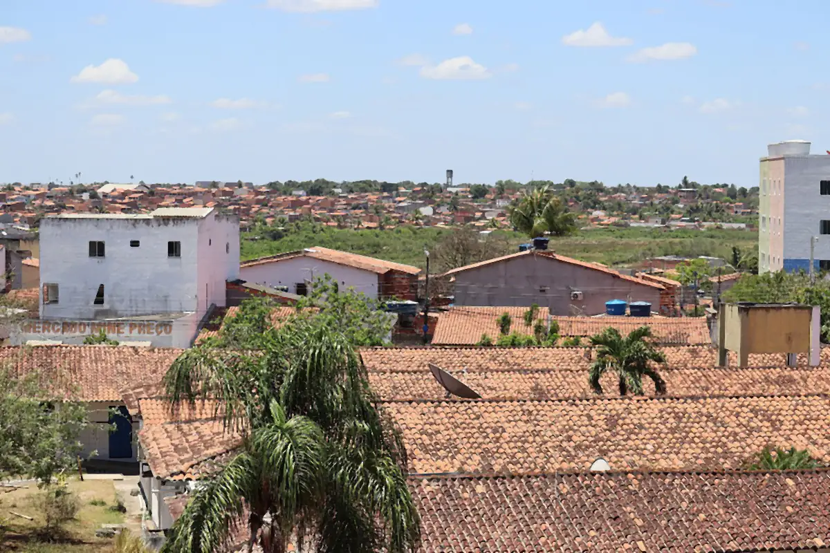 Telhados de casas e prédios de Feira de Santana sob céu azul com poucas nuvens, com palmeiras em primeiro plano