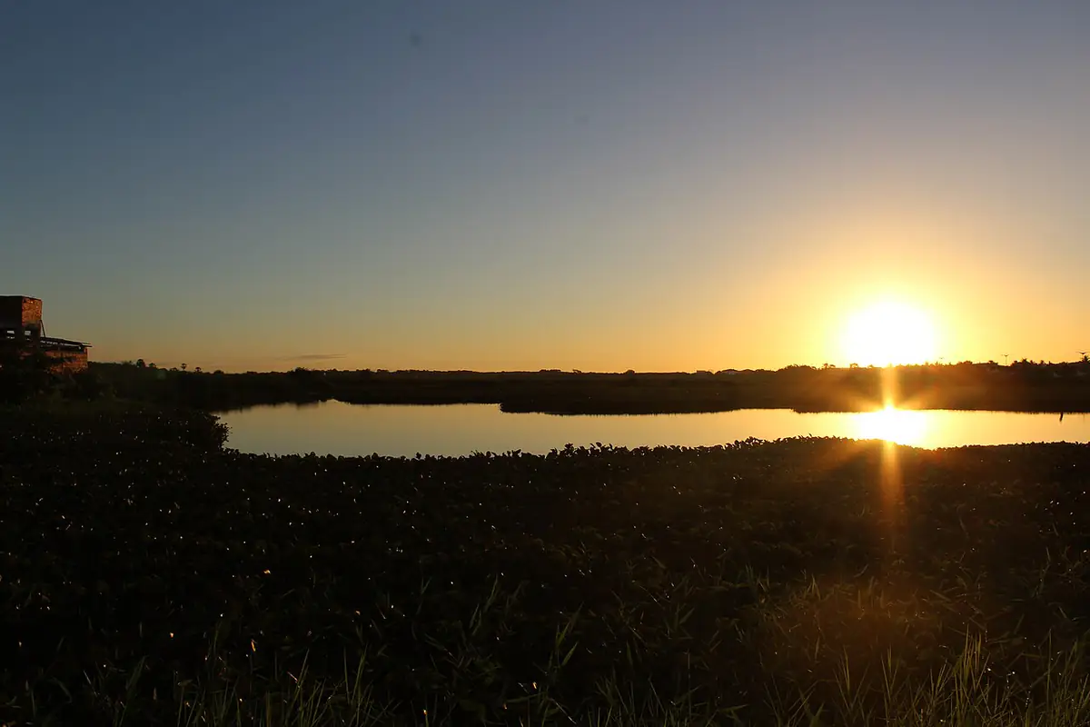 Lagoa da Bastiana ao pôr do sol, com vegetação aquática em primeiro plano, em Iguatu