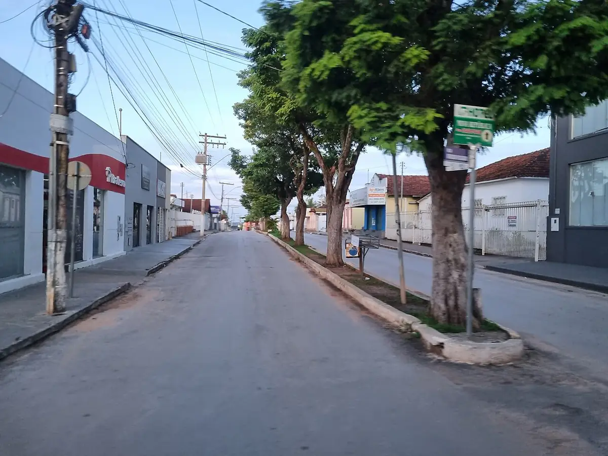 Avenida Padre Trajano em Posse, com árvores no canteiro central e céu claro ao amanhecer